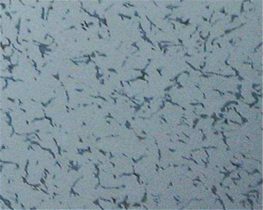 鄭州網(wǎng)絡(luò)地板 鄭州網(wǎng)絡(luò)地板